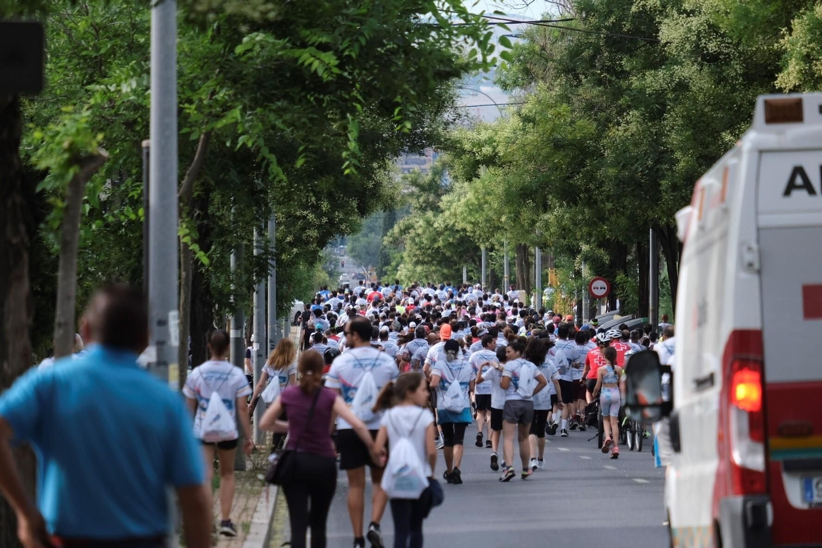 Las mejores fotos de la I Carrera por la Investigación en Salud