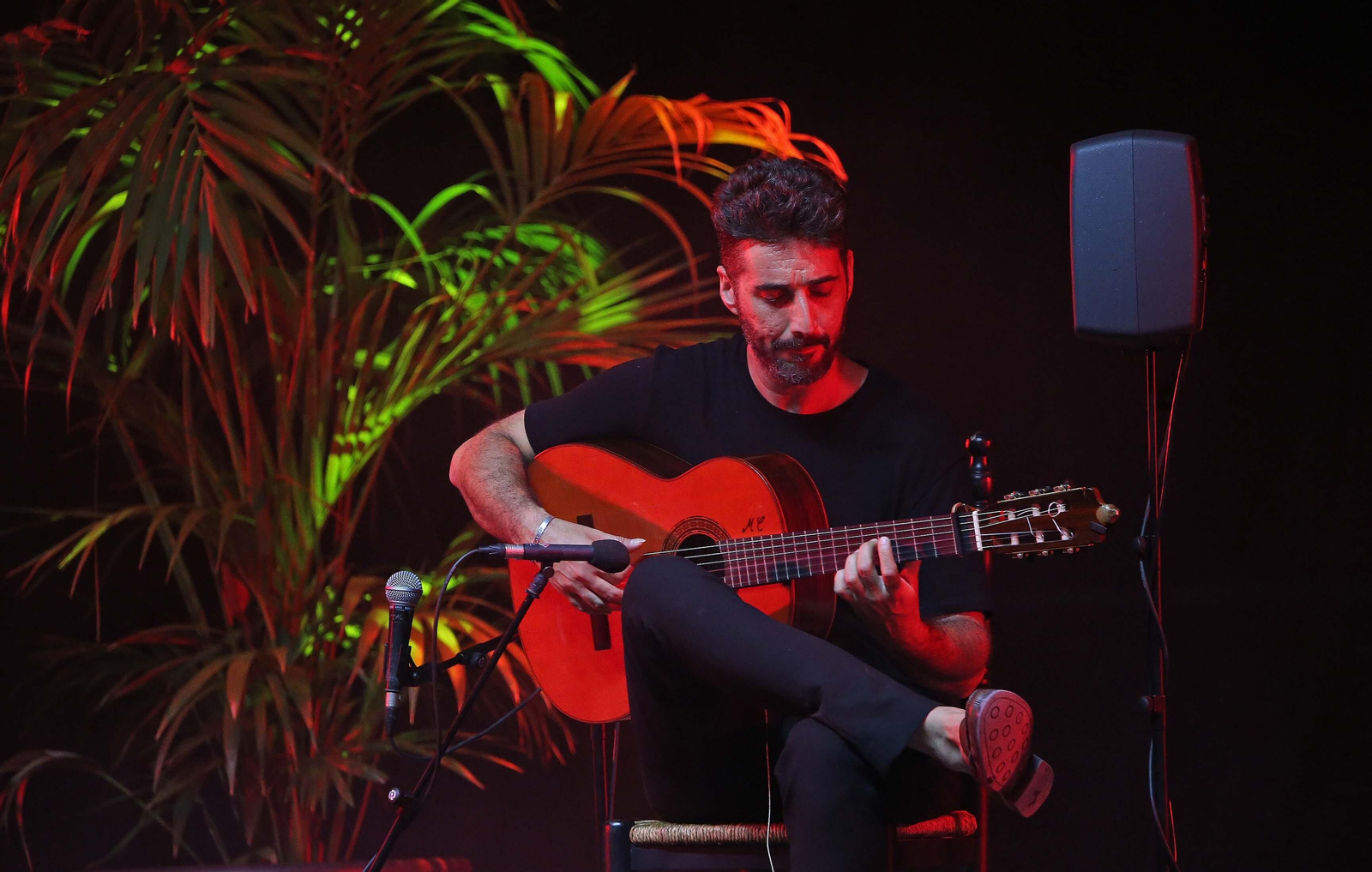 Fotos del concierto de Antonio Sánchez en el IX Encuentro Internacional de guitarra Paco de Lucía