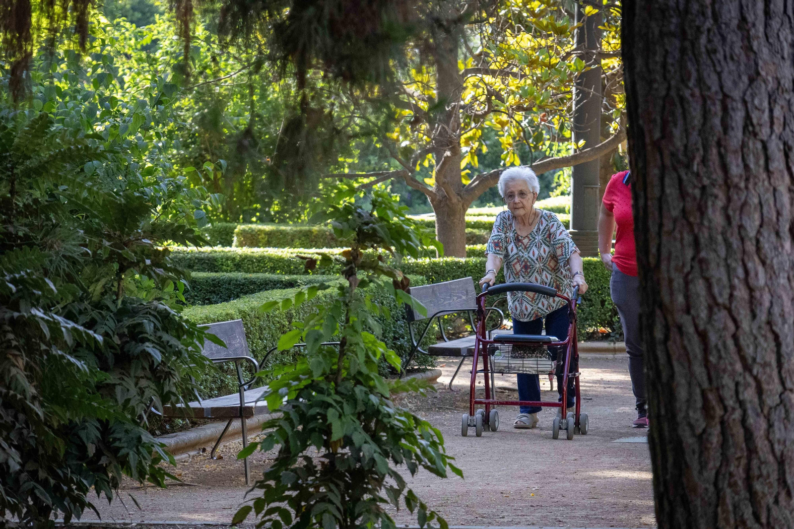 El espectáculo de Granada en primavera: las imágenes