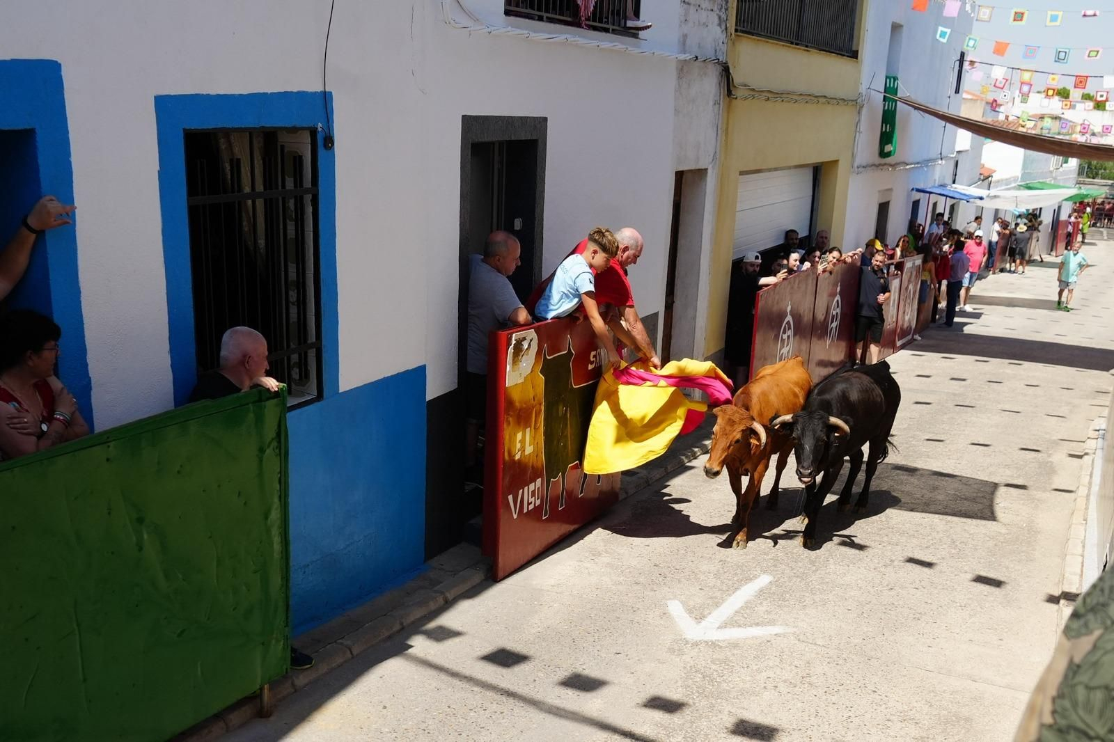 El encierro de vaquillas de El Viso, en imágenes