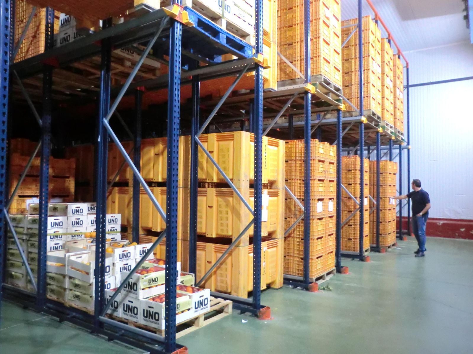 Una de las instalaciones desde las que se comercializa la naranja de Palma del Río.