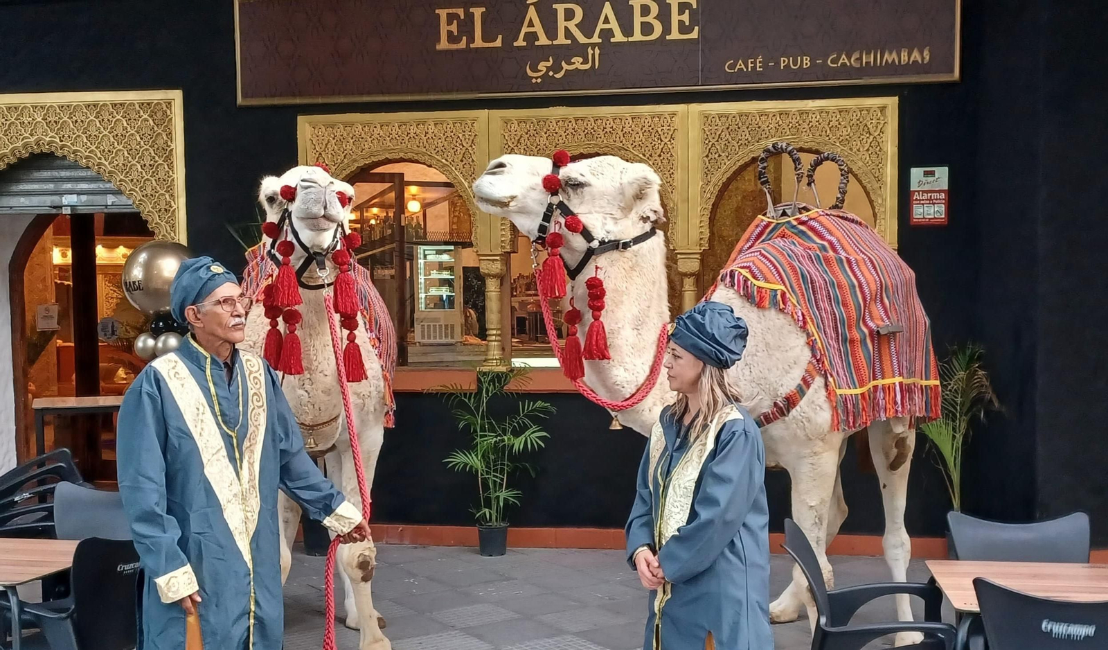 Dos camellos, protagonistas de la inauguración de este nuevo bar onubense