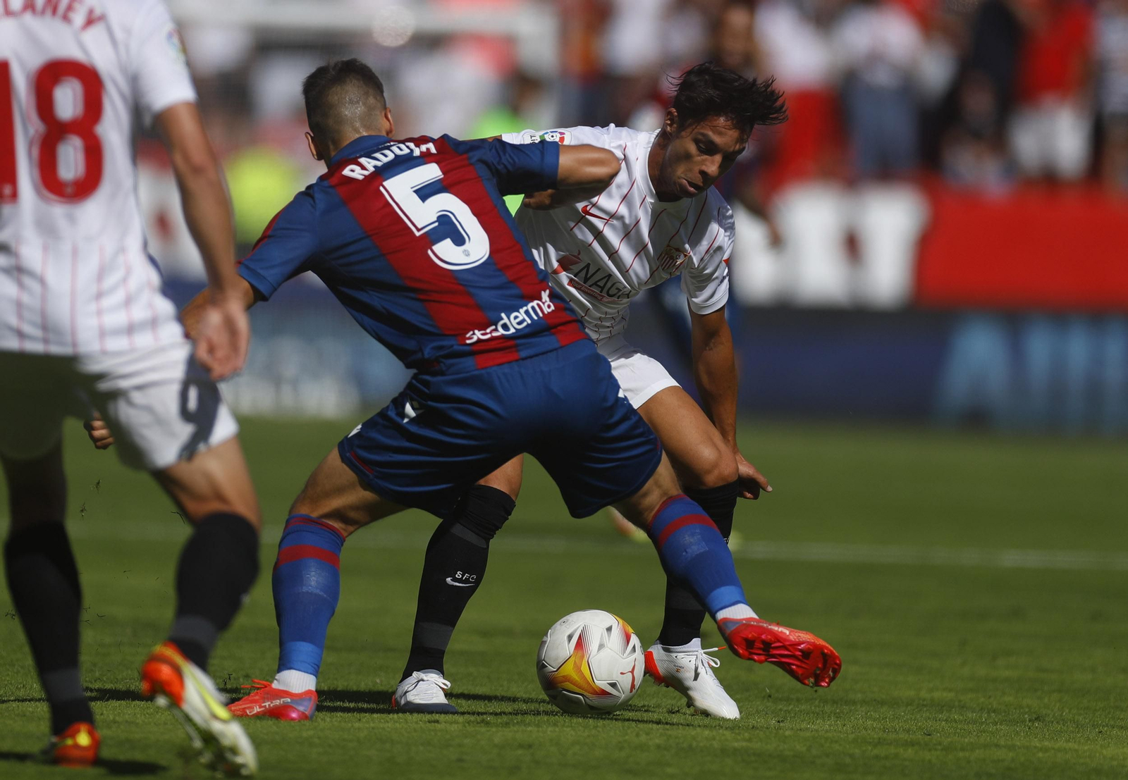 Las imágenes del Sevilla-Levante