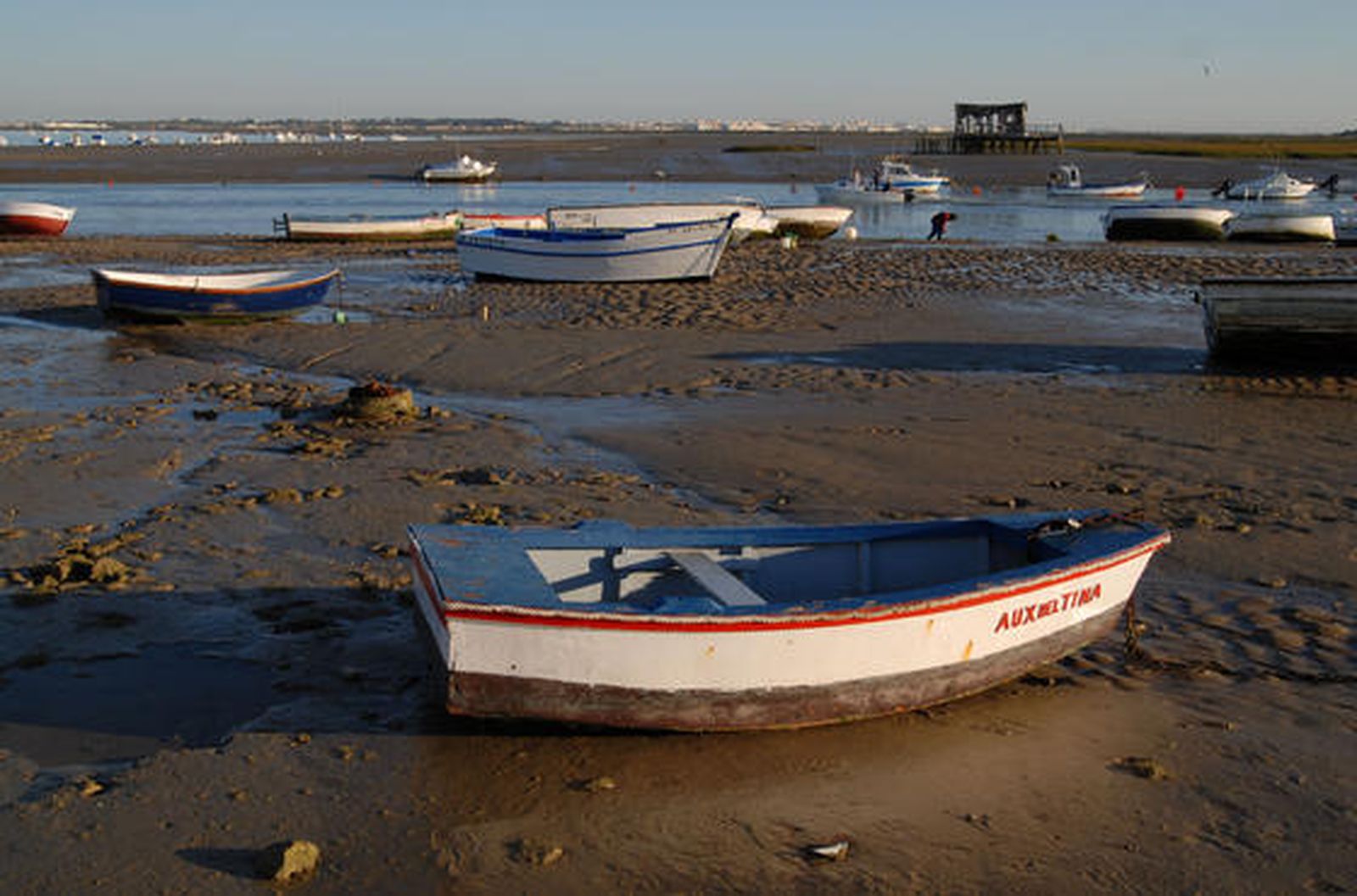 Durante la mañana en Sancti Petri, se han reunido cientos de personas para disfrutar la marea./Paco Periñán

Foto: Paco Perinan