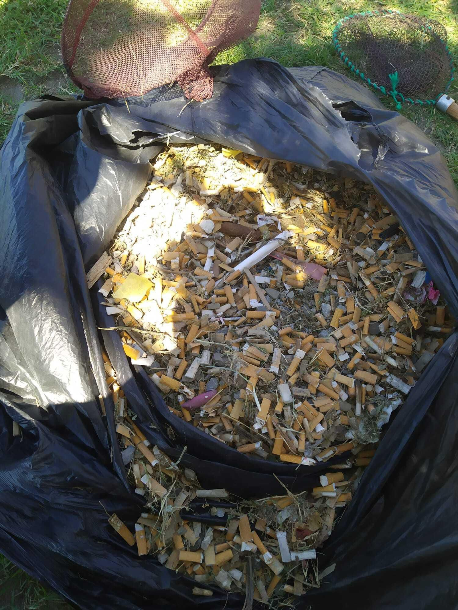 El área de Medio Ambiente ha recogido una bolsa de basura de poda con colillas.