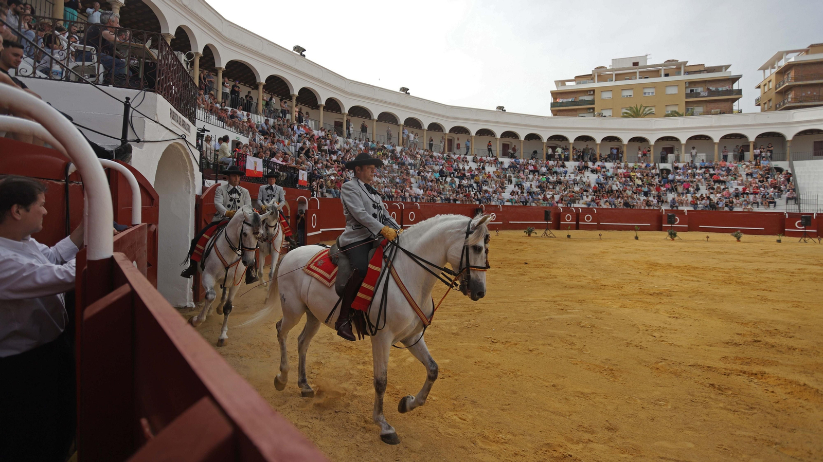 Fotos del espectáculo 'Cómo bailan los caballos andaluces' en San Roque