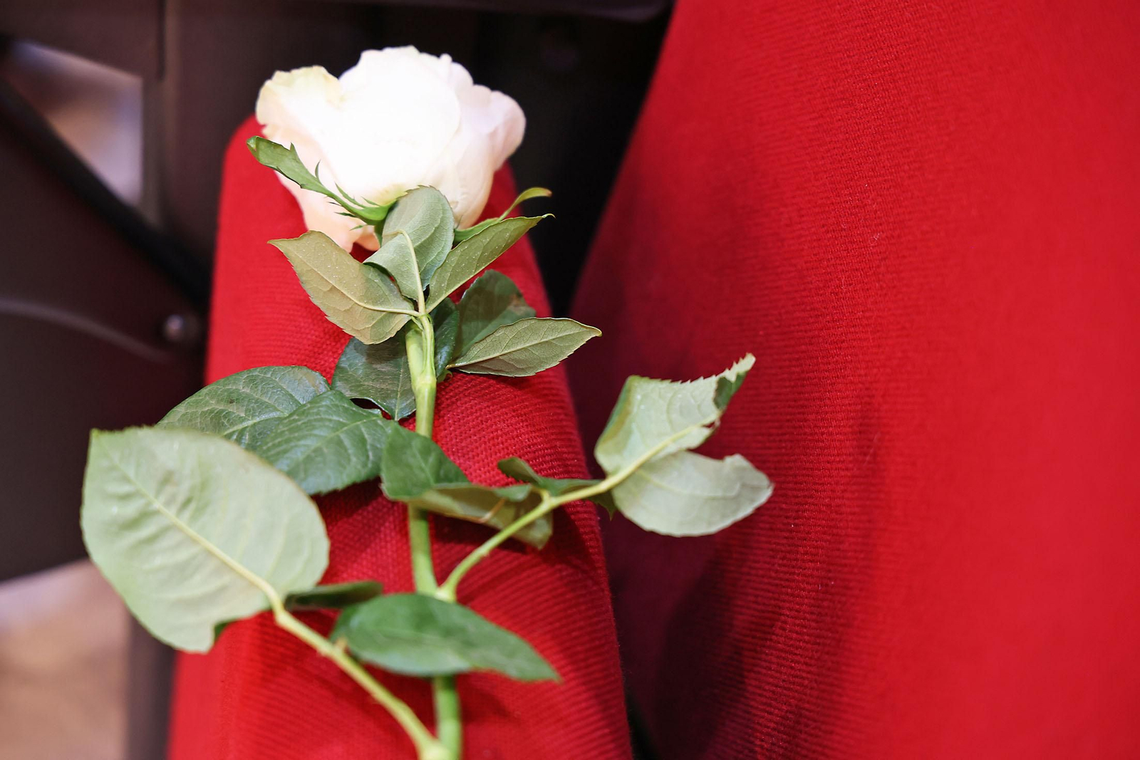 Imágenes de la ceremonia del nombramiento de Ryszard Lobinski como Doctor Honoris Causa de la Universidad de Huelva.