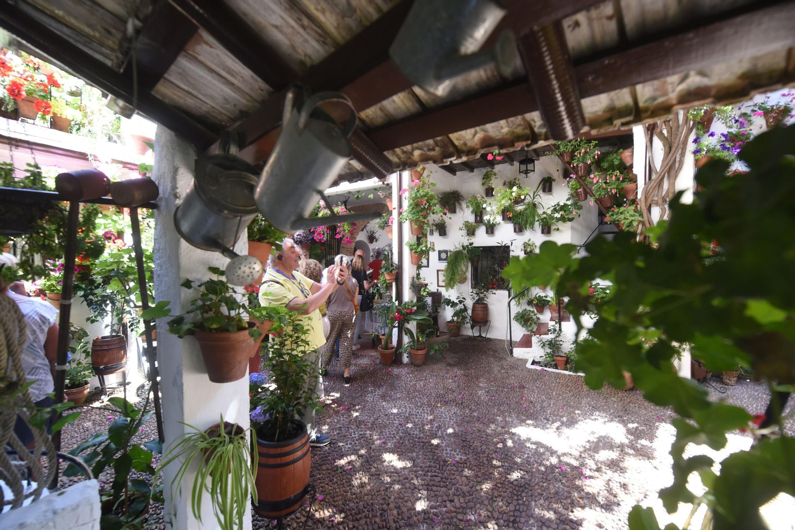 El último sábado de Patios de Córdoba en Alcázar Viejo, en imágenes