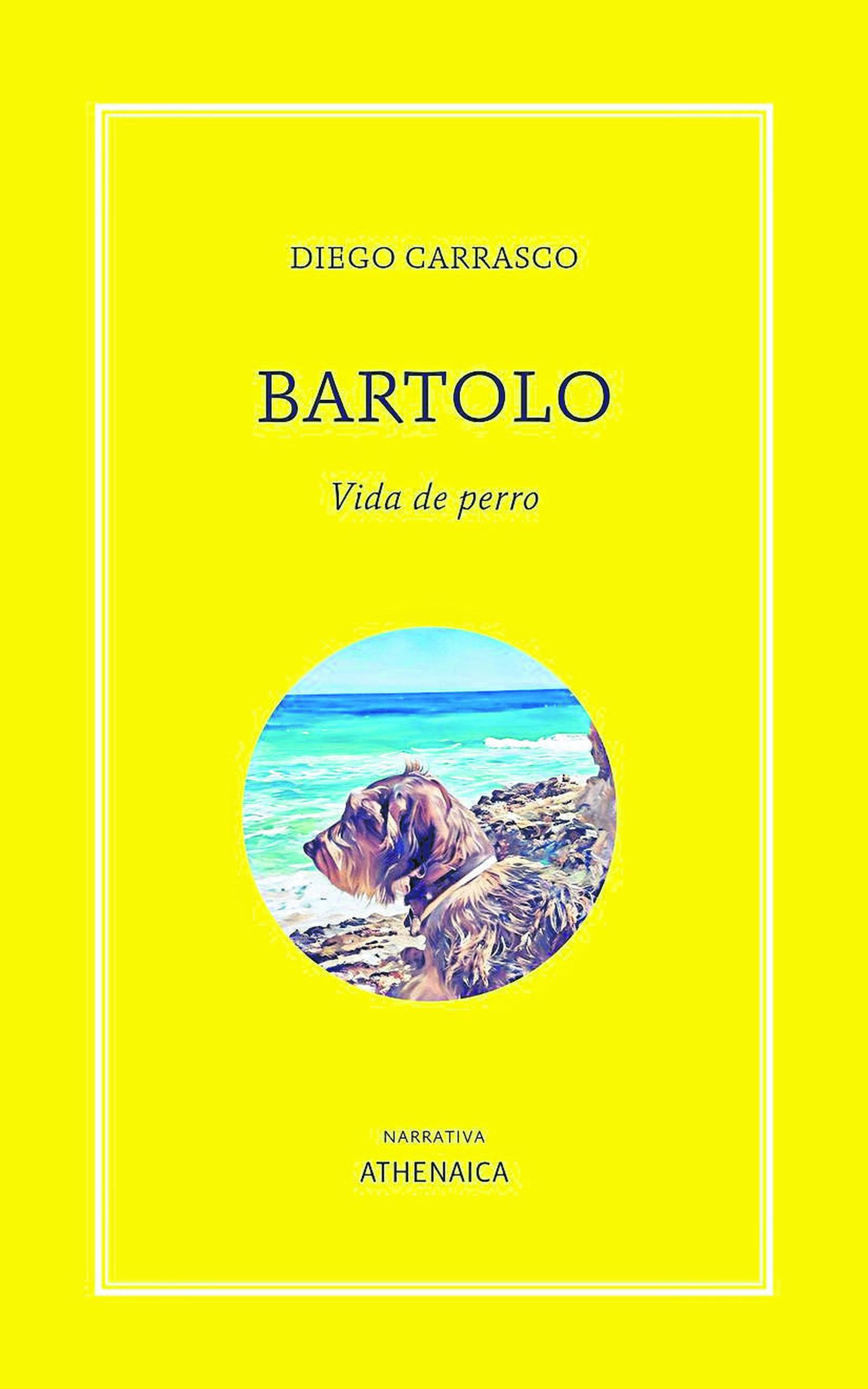 Cinco perros y un gato en busca de autor