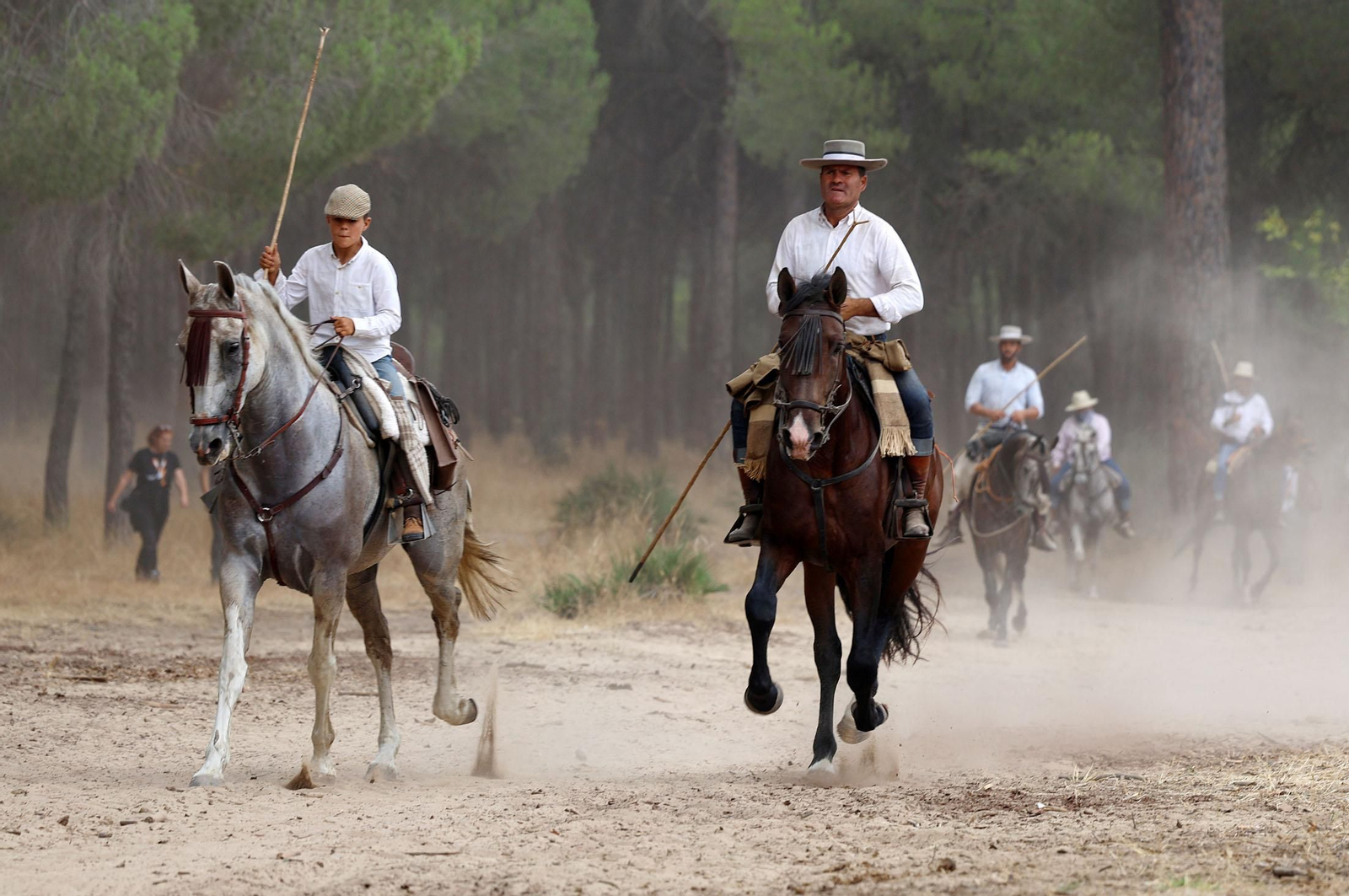 Imágenes de la tradicional Saca de las Yeguas