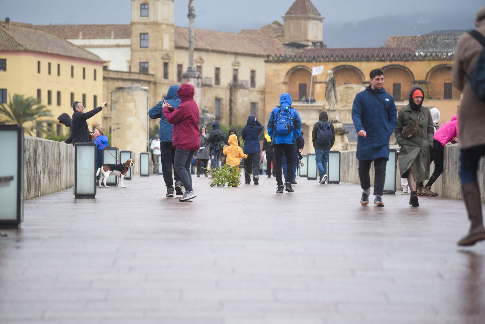 Las fuertes rachas de viento y la lluvia dejan las calles de Córdoba vacías