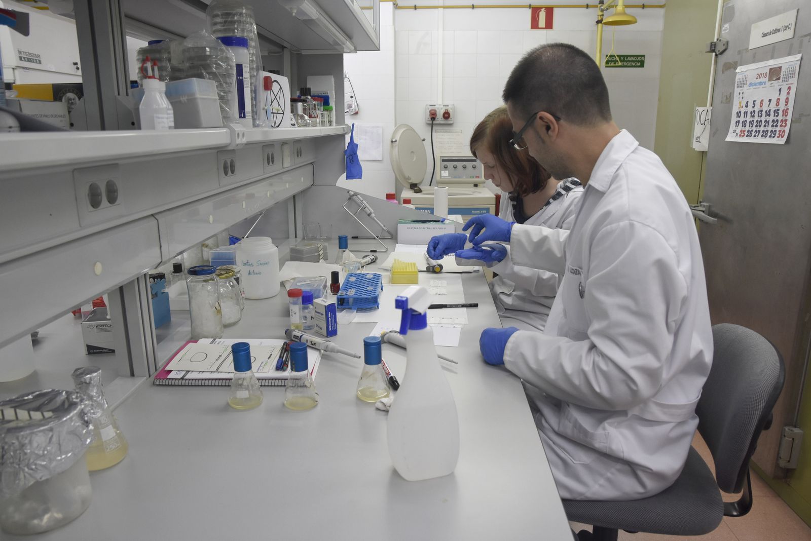 Investigadores de la UCO en un laboratorio de Rabanales.