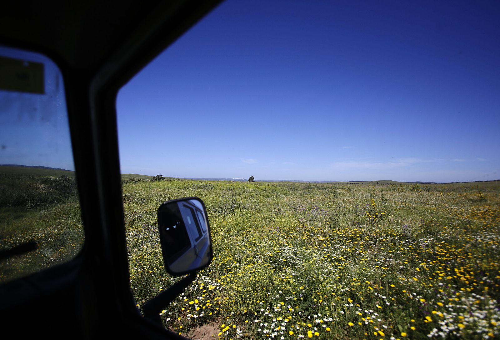 Mas cornadas da el virus, visita a la ganadería de Nuñez La Palmosilla