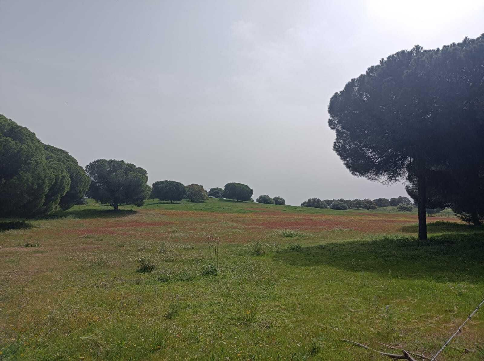 Sobre el kilómetro 6 comienzan a verse amplias praderas.