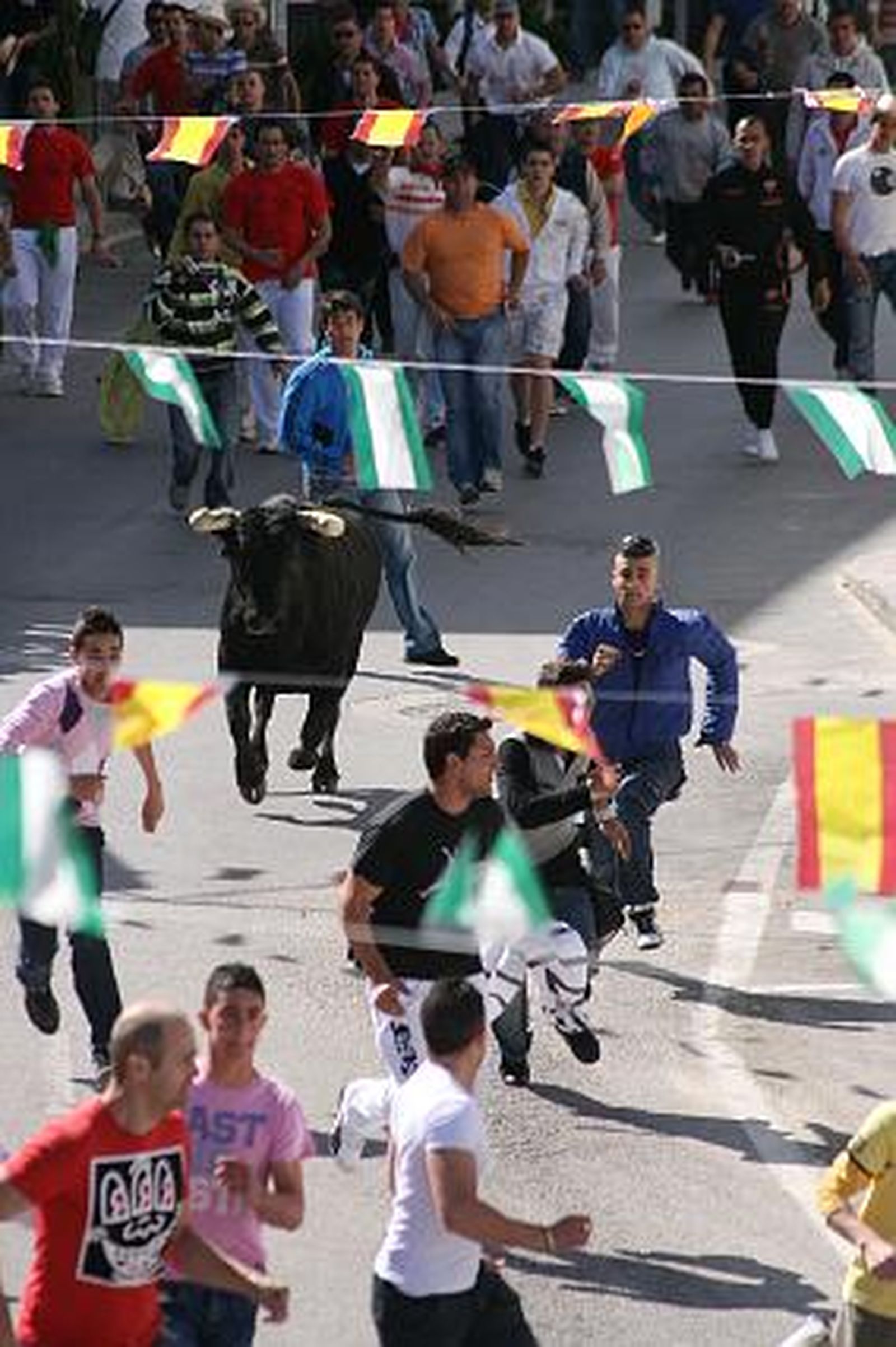 El toro embolao de Vejer, todo un éxito de público. 

Foto: Manuel Aragon Pina