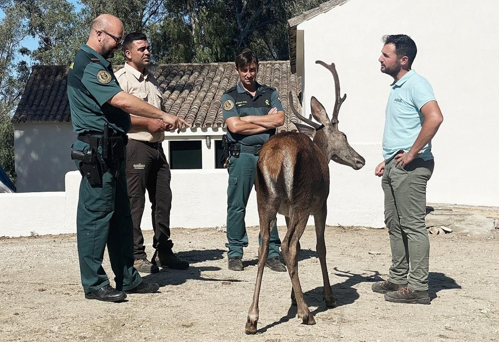 Dos agentes del Seprona investigan una granja de animales.
