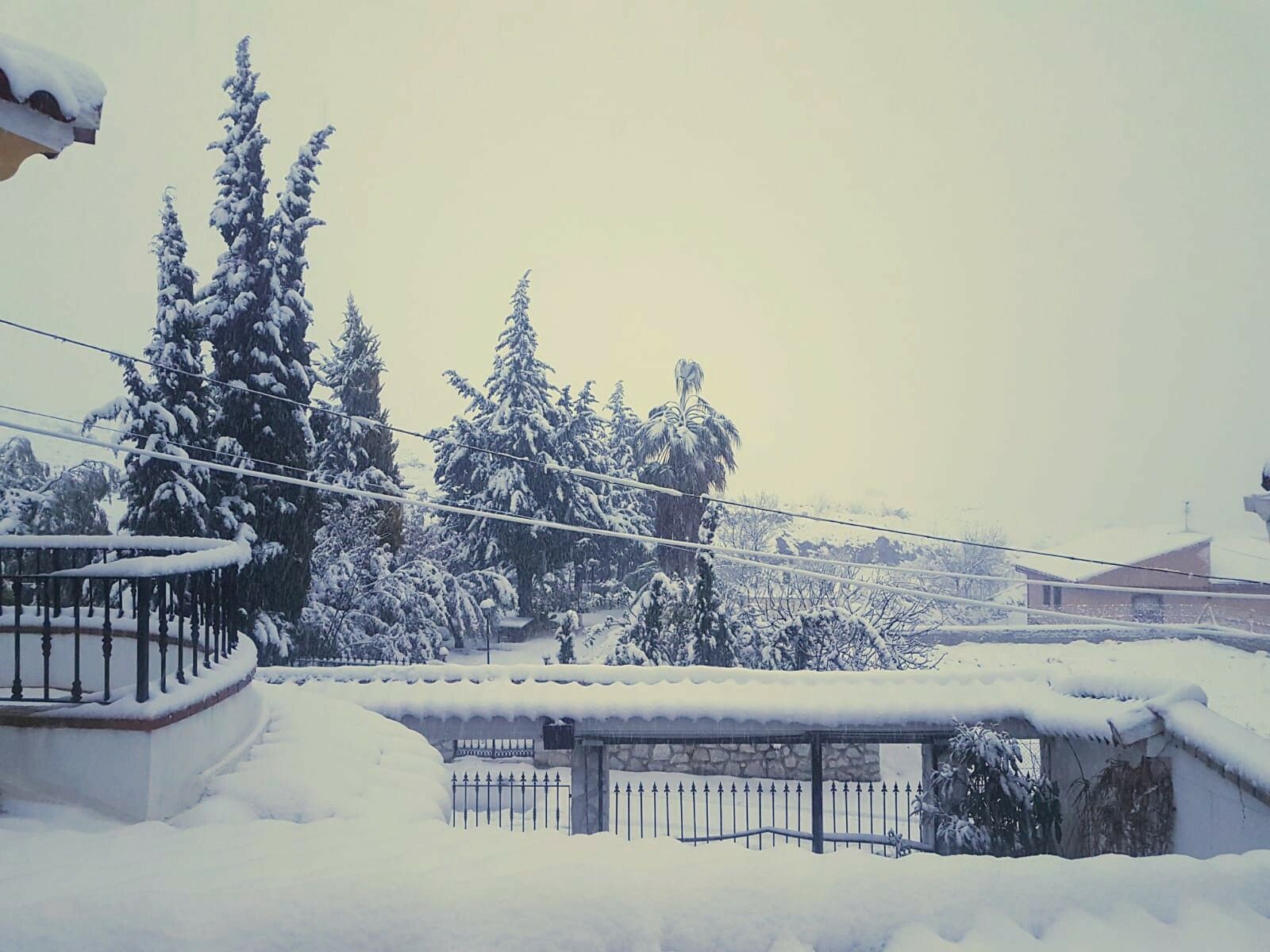 Gloria deja un manto blanco de nieve en la zona norte de la provincia