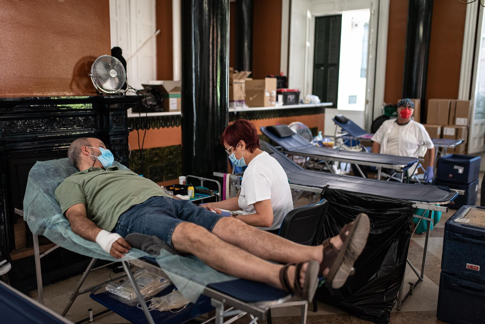 Imágenes de la segunda macrocolecta de sangre en la Casa Colón