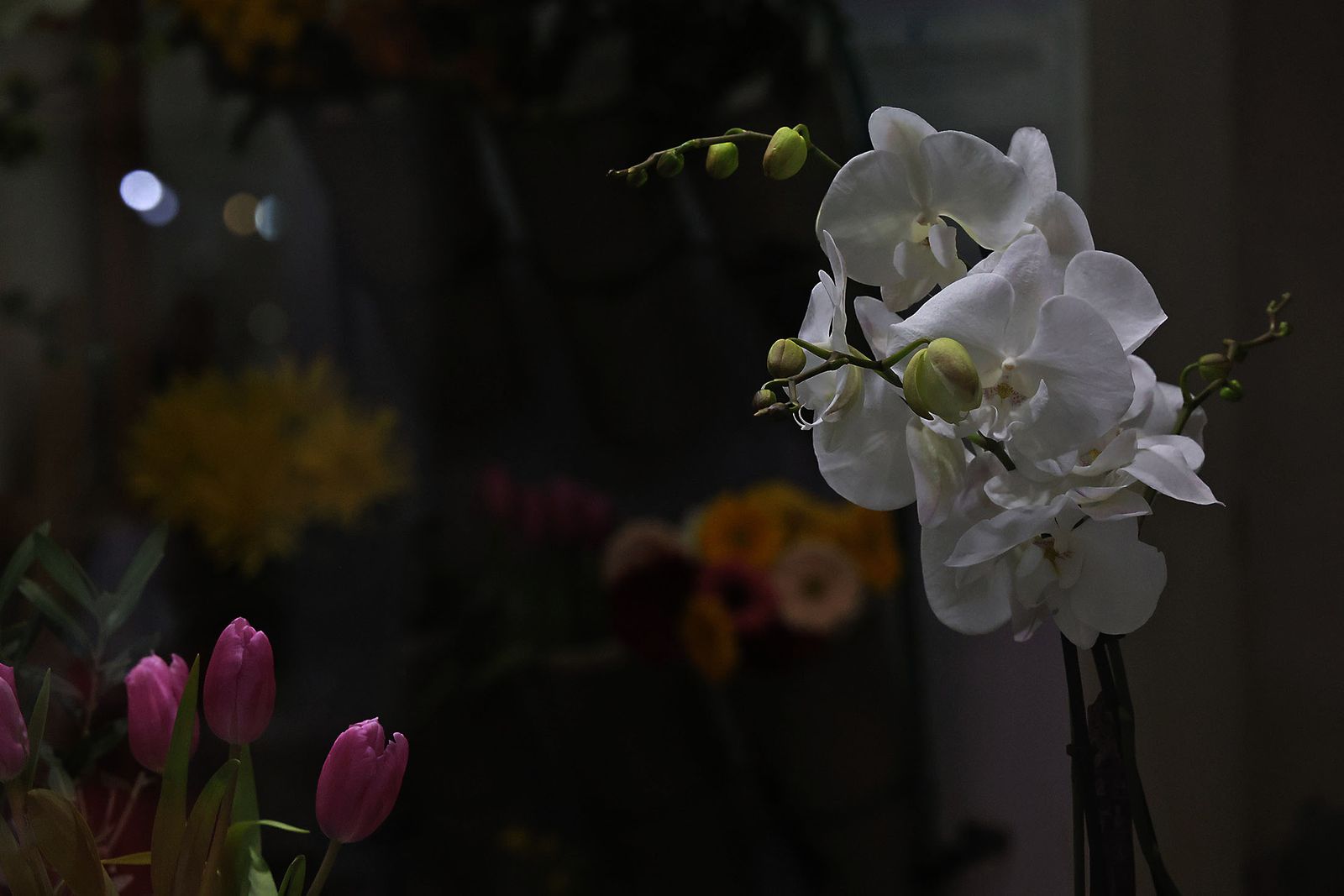 La magia de los escaparates de la ciudad