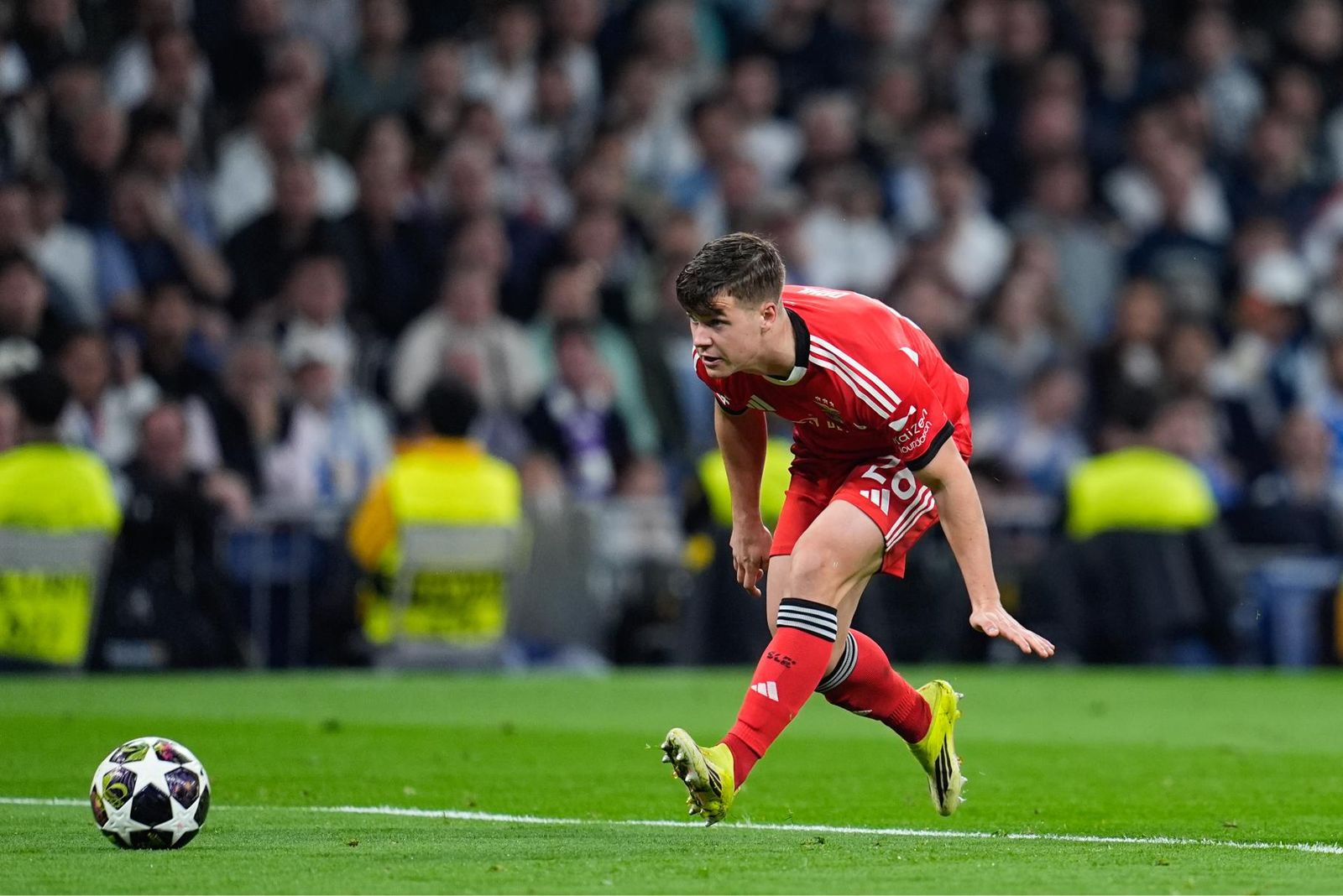 Las fotos del Real Madrid-Benfica