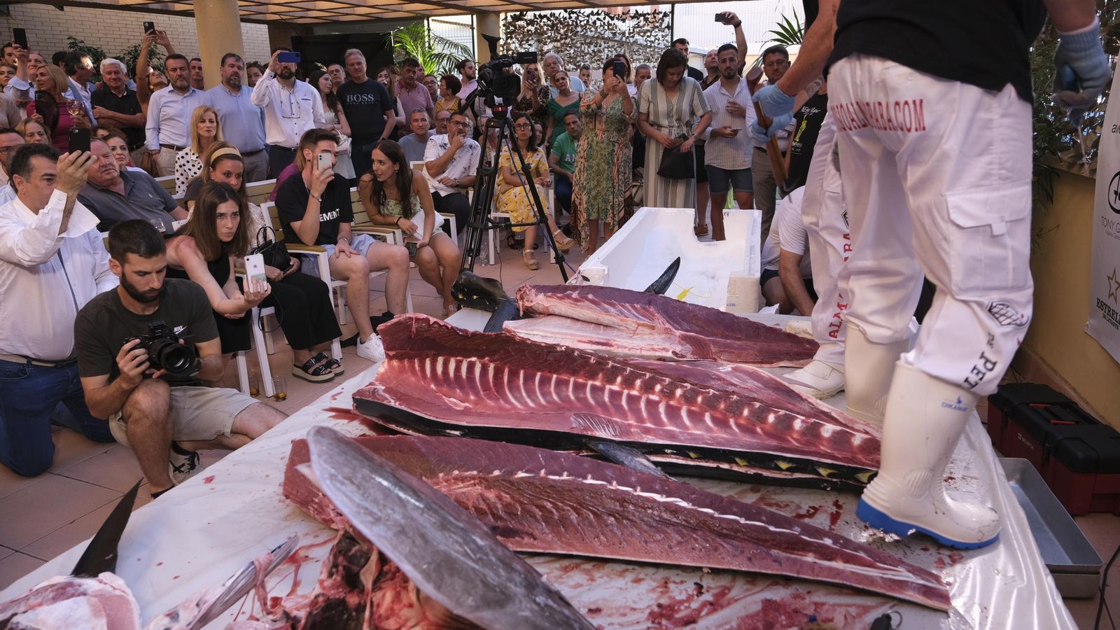 Se empieza cortando la cola y sacando la cabeza y se visceriza