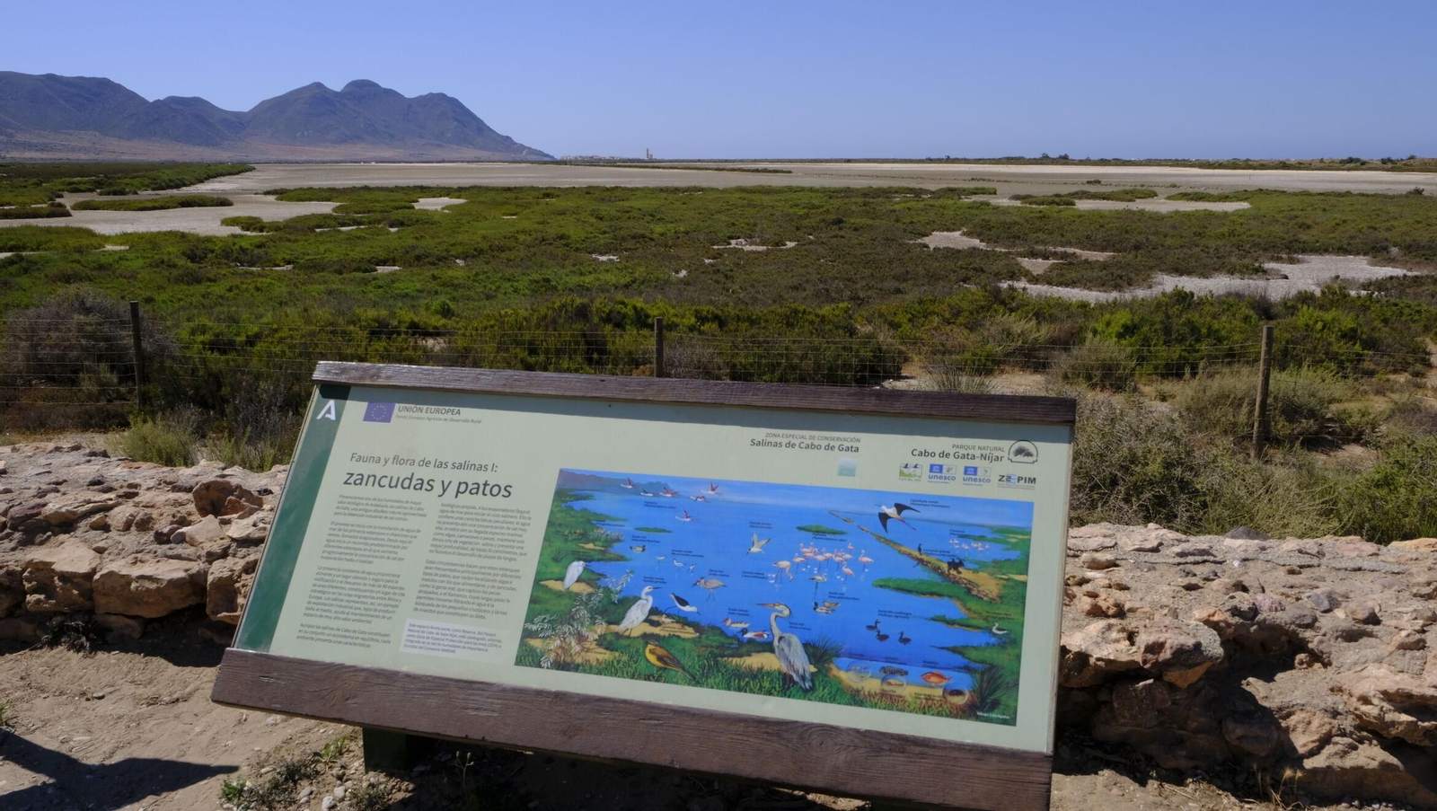 Panorámica reciente de los charcones y humedales de Las Salinas
