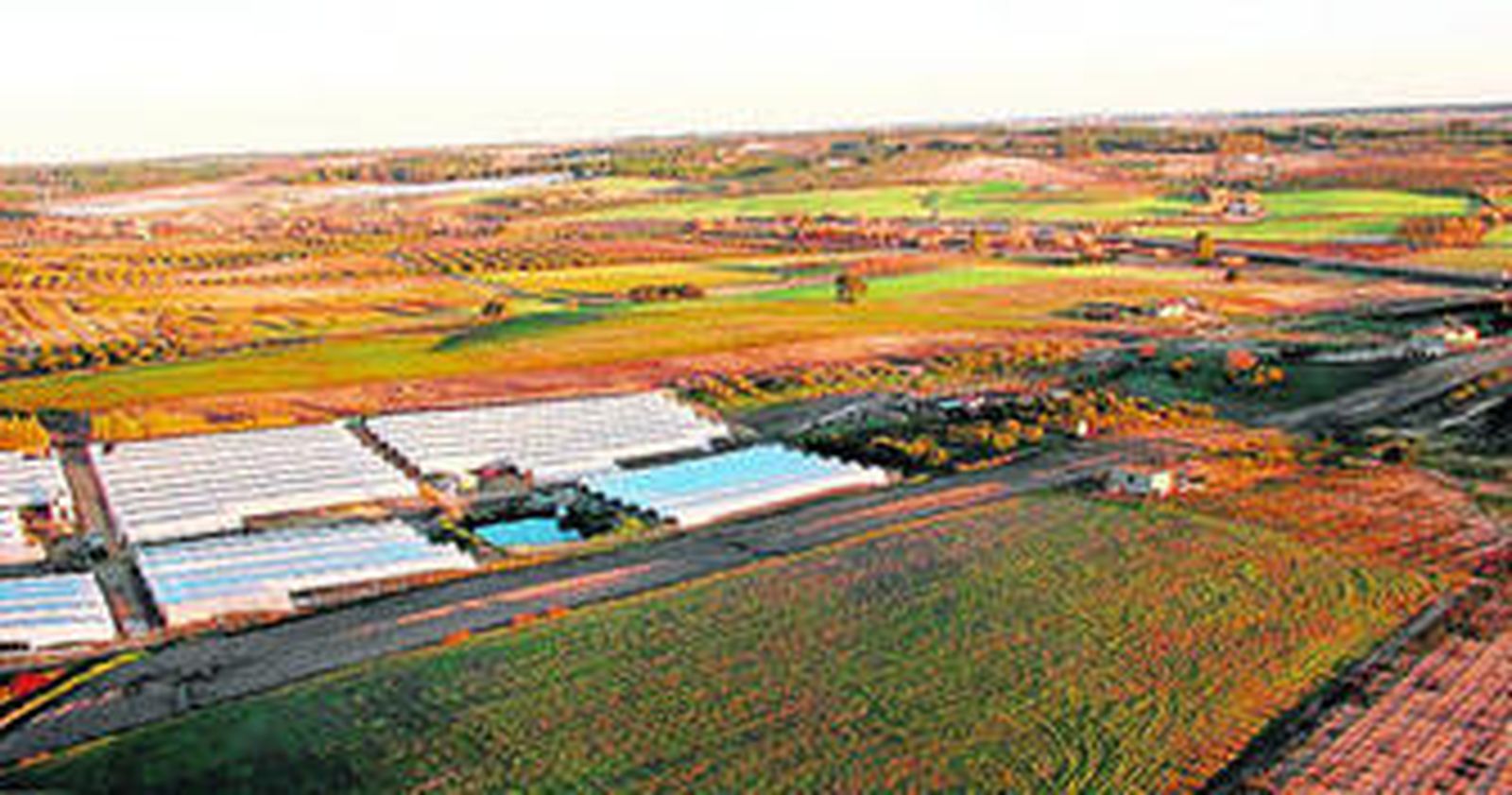 Zonas freseras del entorno de Doñana.