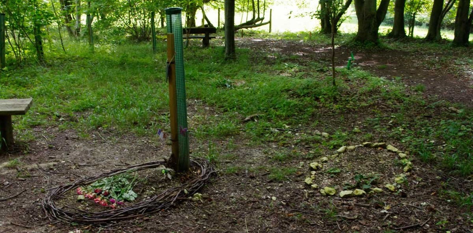 Un cementerio natural, rodeado de vegetación.