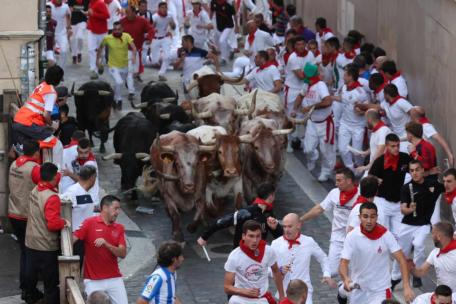 Las imágenes de los toros de Jandilla en los sanfermines