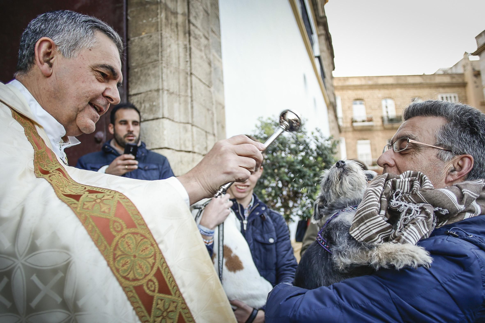 Bendición de animales en Santo Domingo