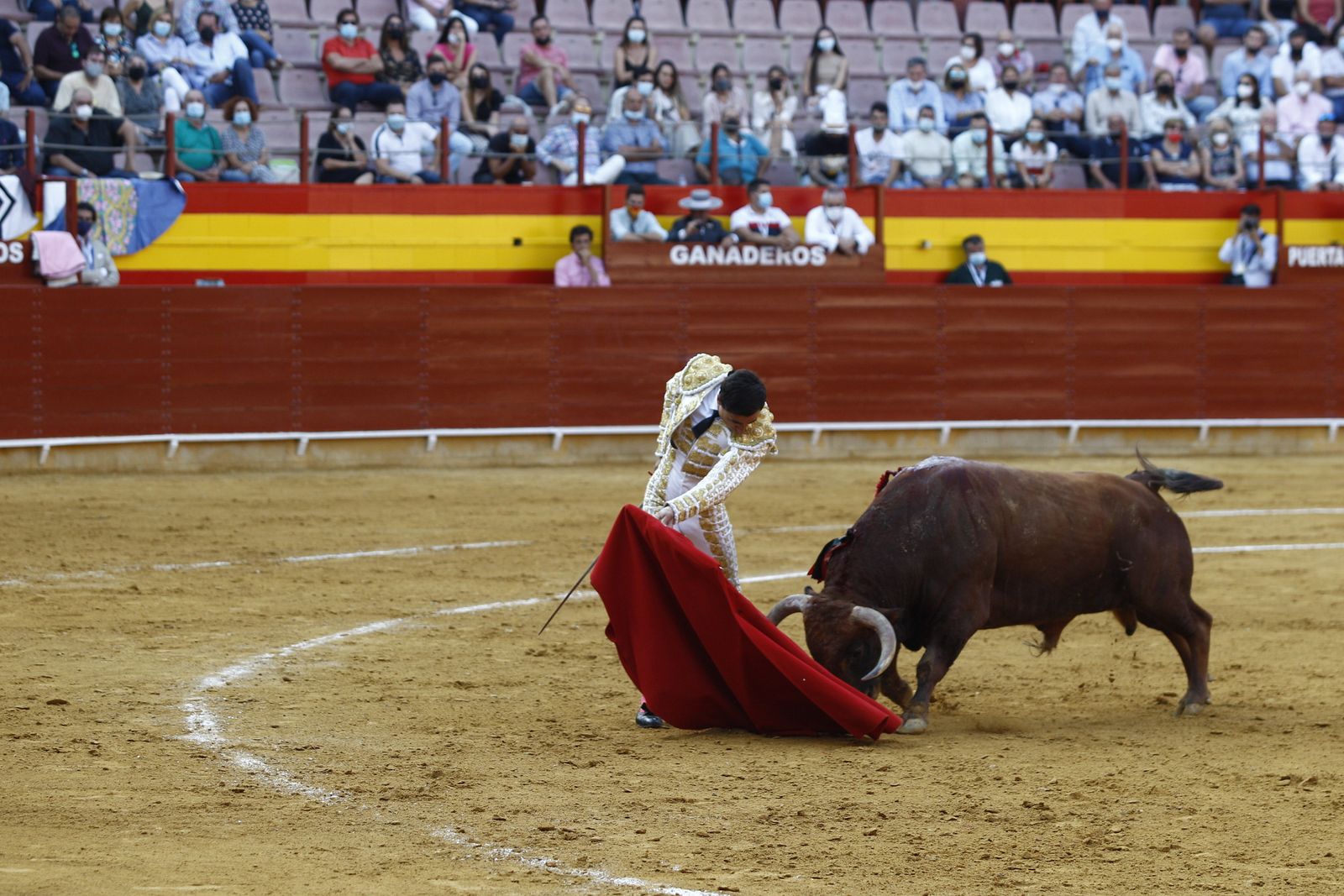 Fotogalería corrida de toros. Cayetano Rivera, Paco Ureña y Roca Rey. Roquetas de Mar.