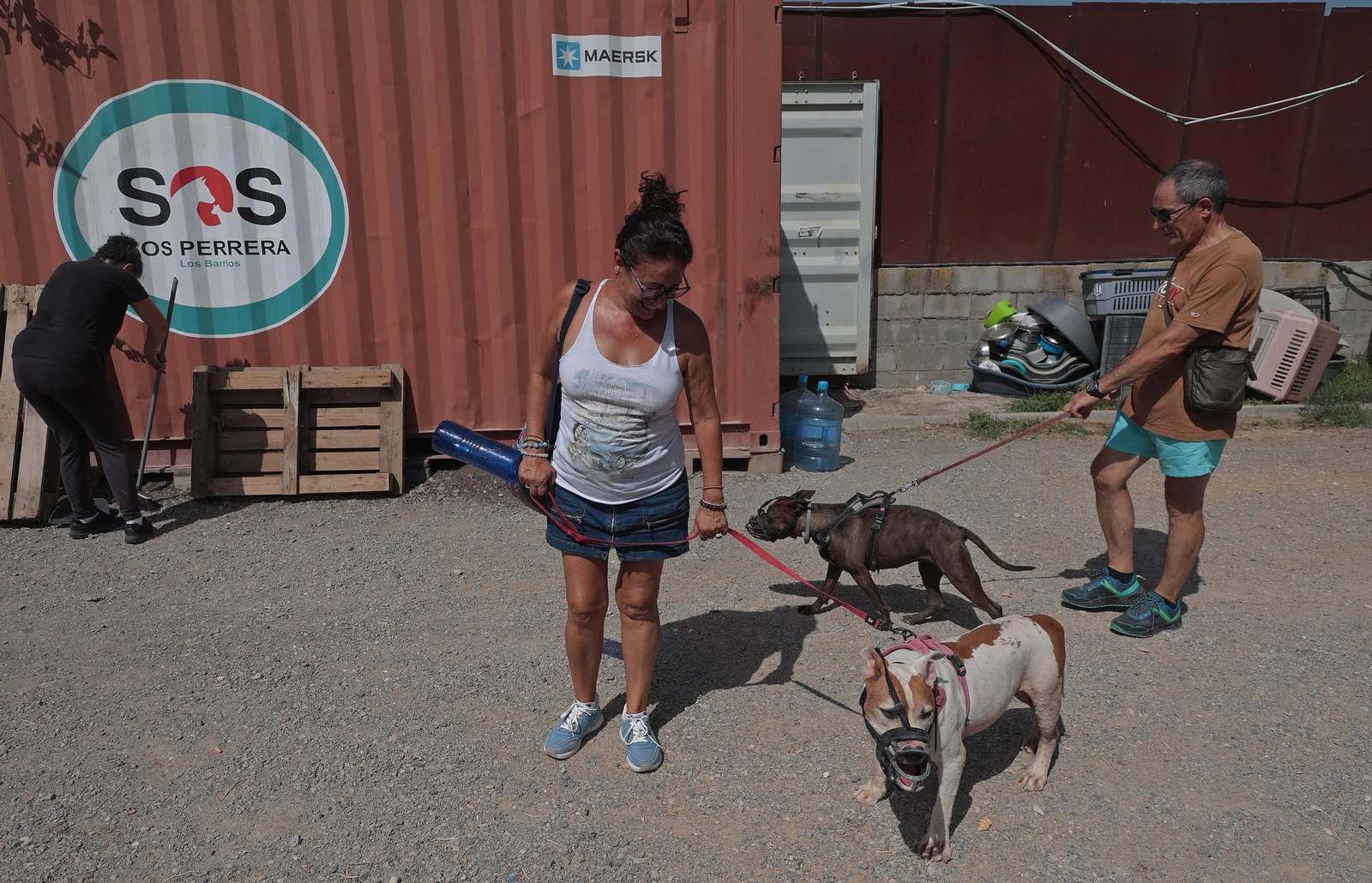 Imágenes de la protectora de animales del Campo de Gibraltar en Los Barrios