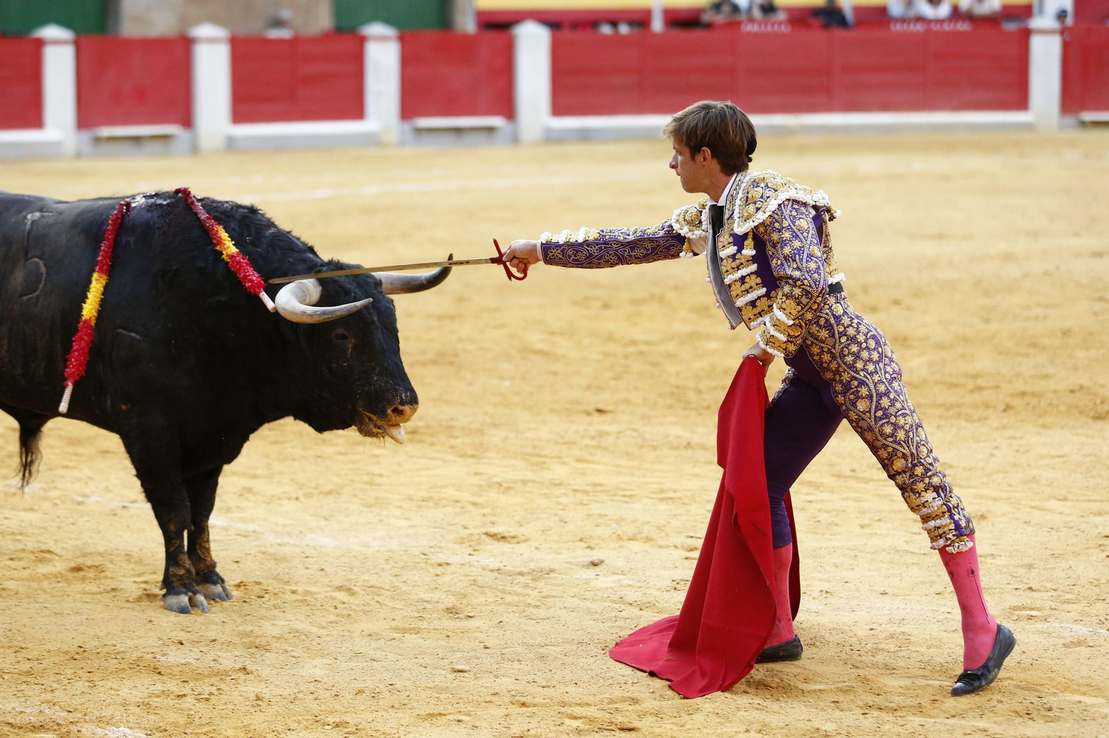 Las mejores imágenes de los toros en el Corpus