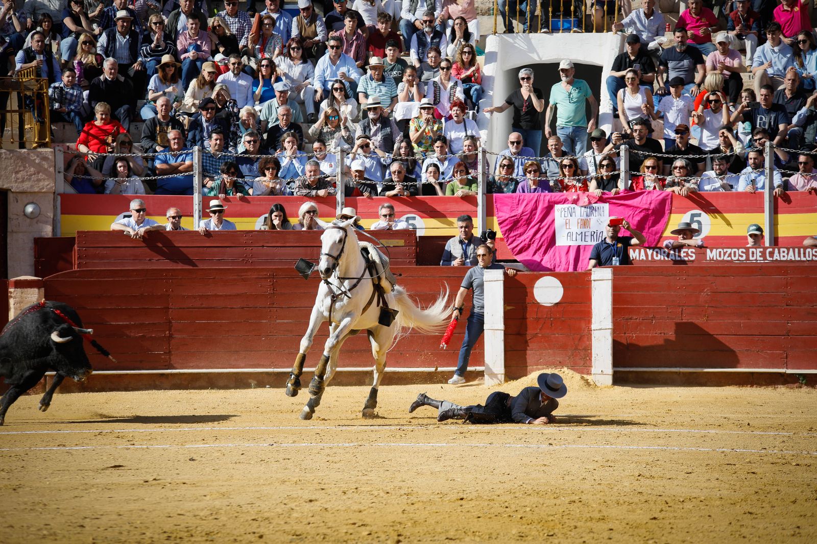 Imágenes del festival mixto lucha contra el cáncer