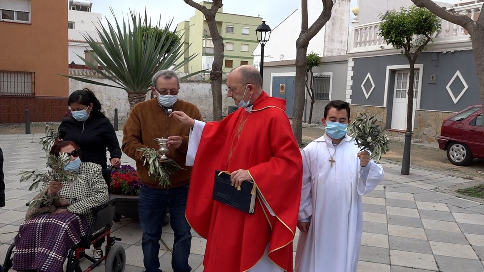 Las fotos del domingo de palmas y olivos en San Roque