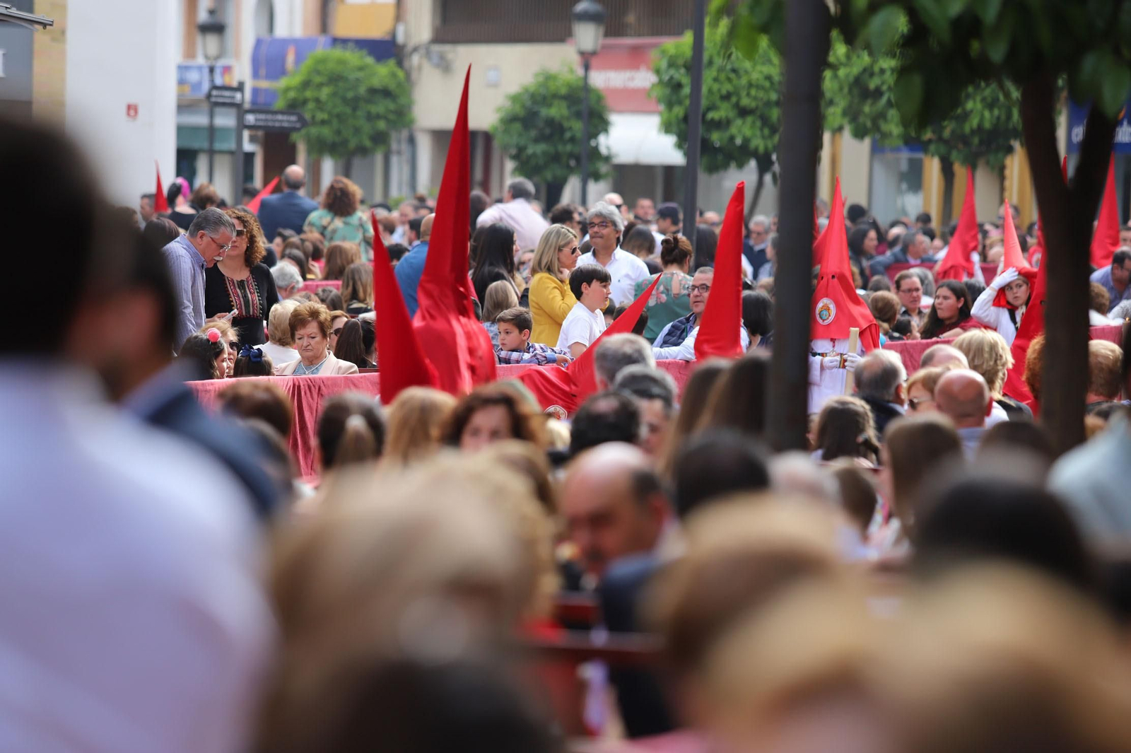 Imágenes del recorrido de la Borriquita  por las calles de Huelva