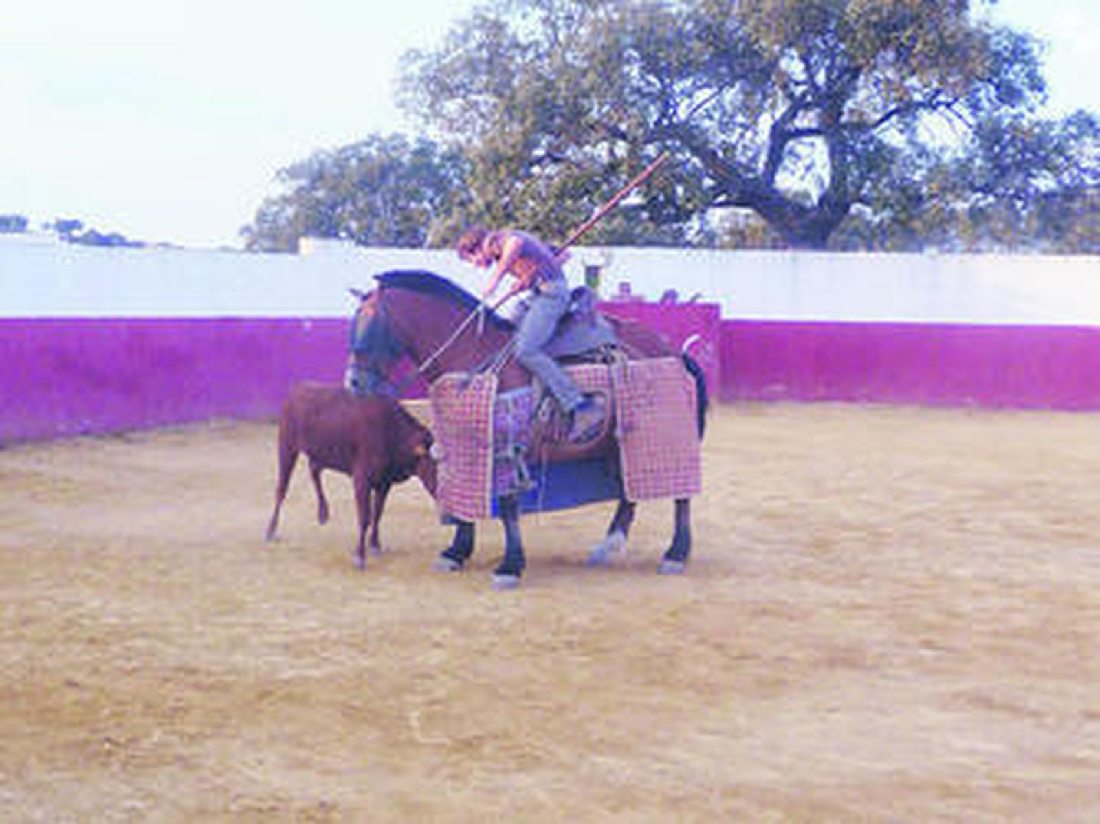 Alejandro Morilla, en la plaza de tientas de Osborne, quiso saber los fundamentos de la suerte de varas.