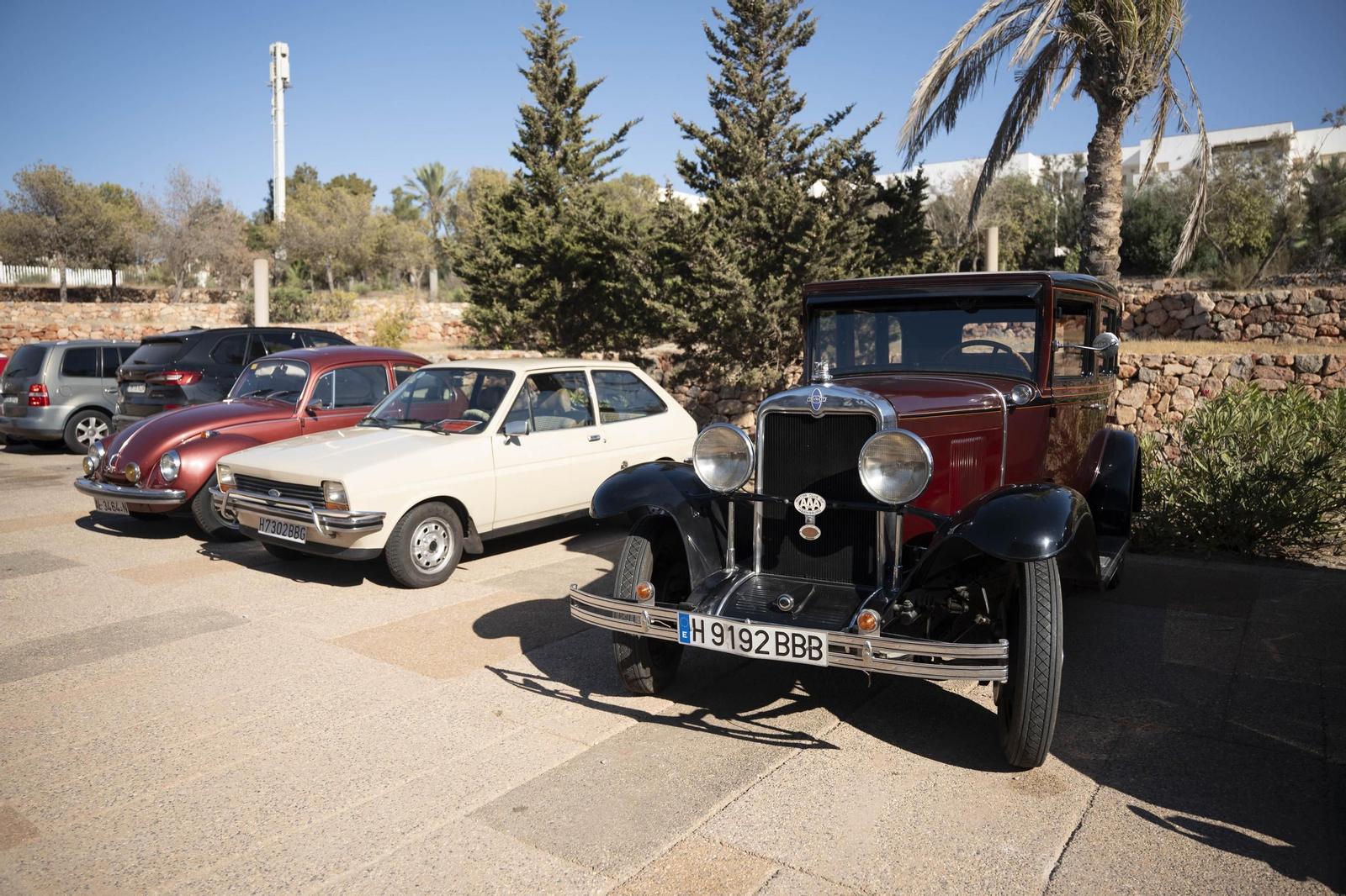 El encuentro Vecinal en el Palacio de Exposiciones y Congresos ‘Cabo de Gata – Ciudad de Almería’ de El Toyo, en imágenes