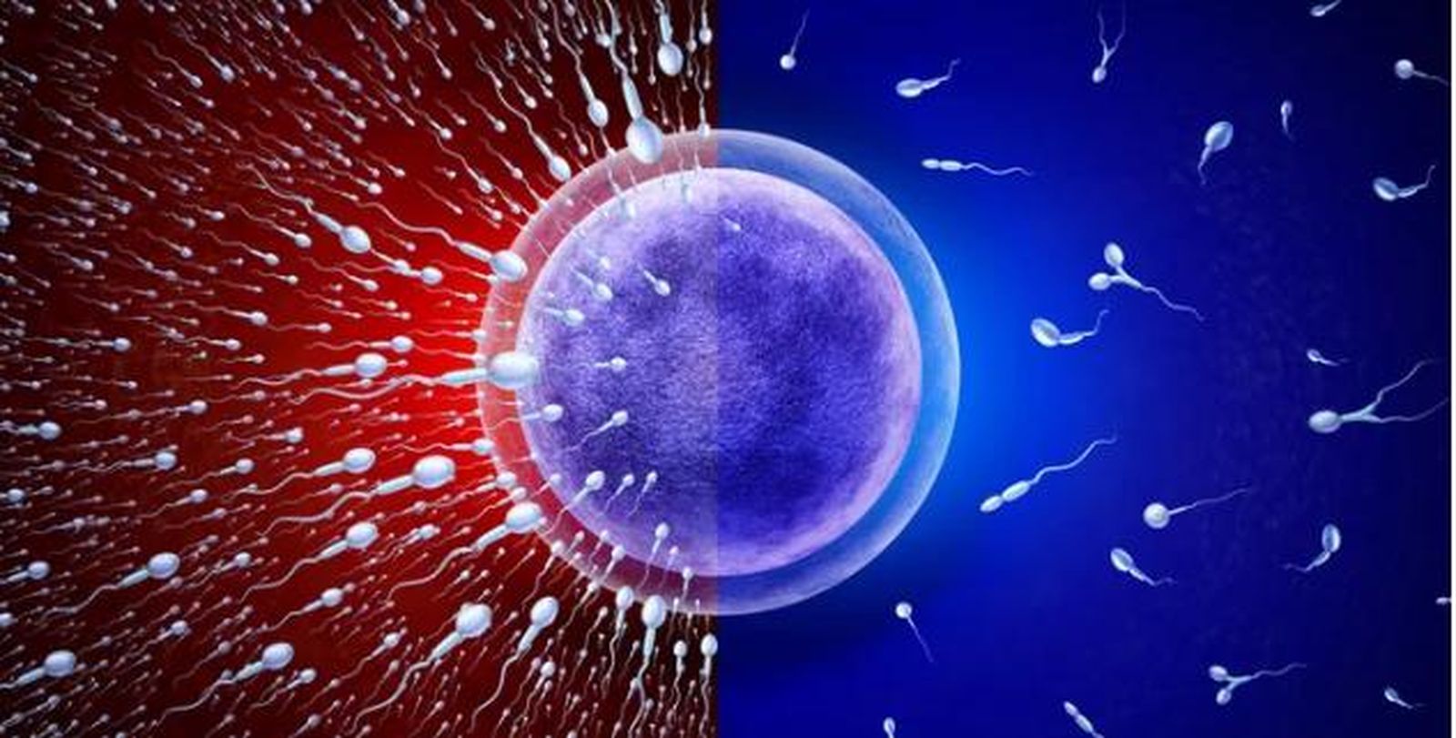 La relación entre la oligospermia y el consumo de cocaína: la búsqueda que realizó Mario Biondo horas antes de su muerte