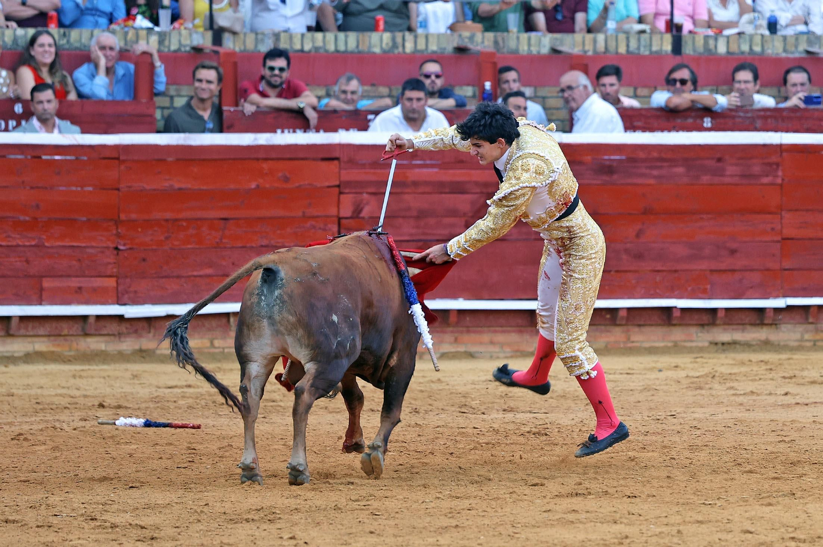 Toros La Merced 2025: Imágenes de la Novillada de Javier Zulueta, Cristian González y Carlos Tirado