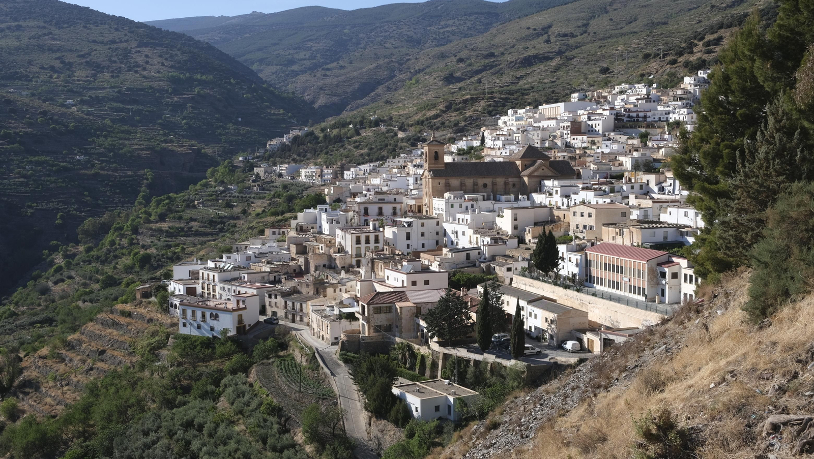 Imágenes de los toros ensogaos y San Marcos, en las Fiestas de Ohanes