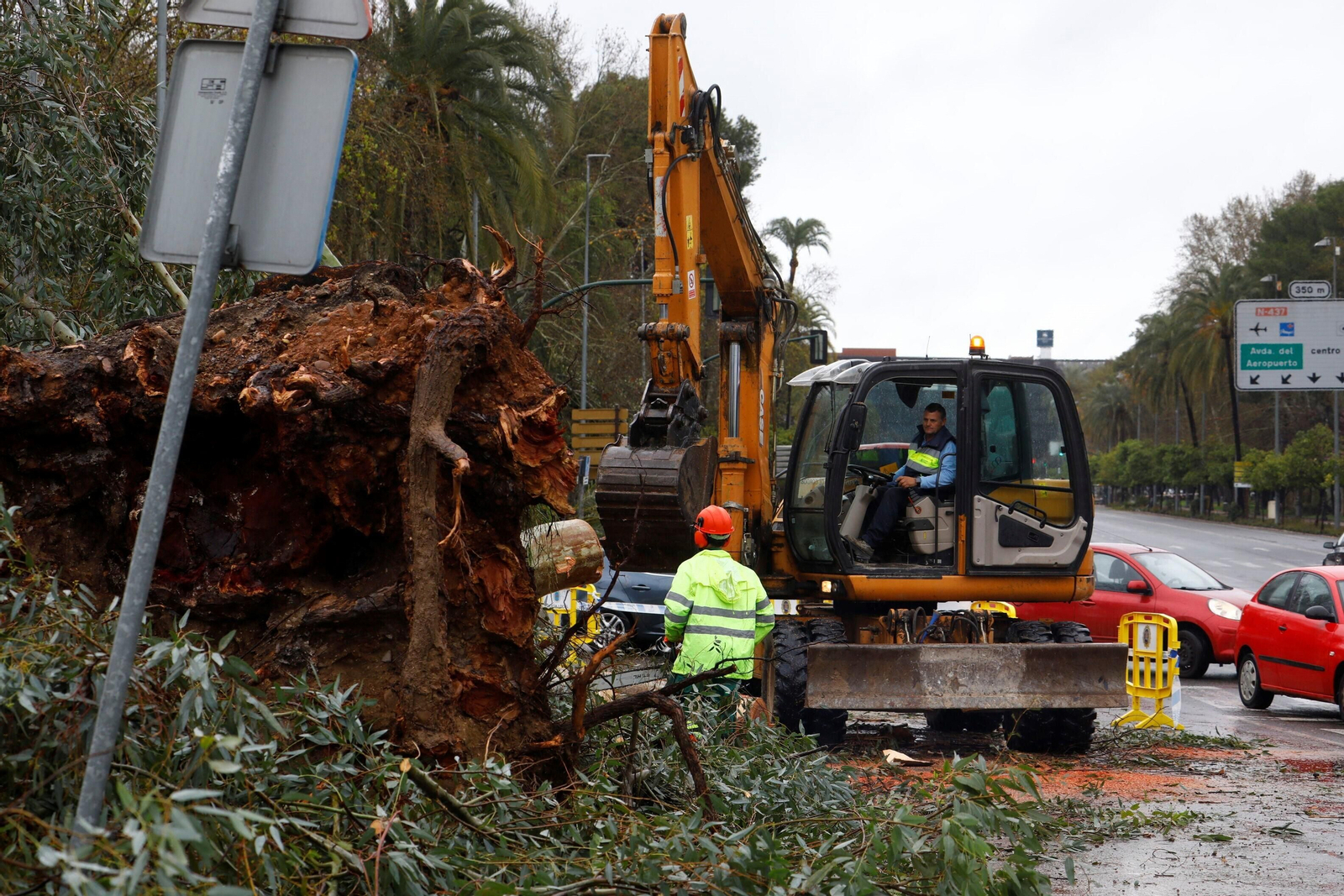 Los daños del último temporal que ha pasado por Córdoba, en imágenes