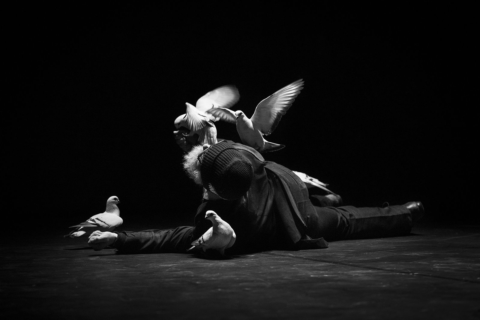Guillermo Weickert con las palomas protagonistas también de 'Falaise'.