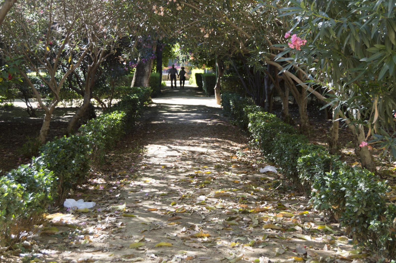 El estado de los Jardines del Valle, en imágenes