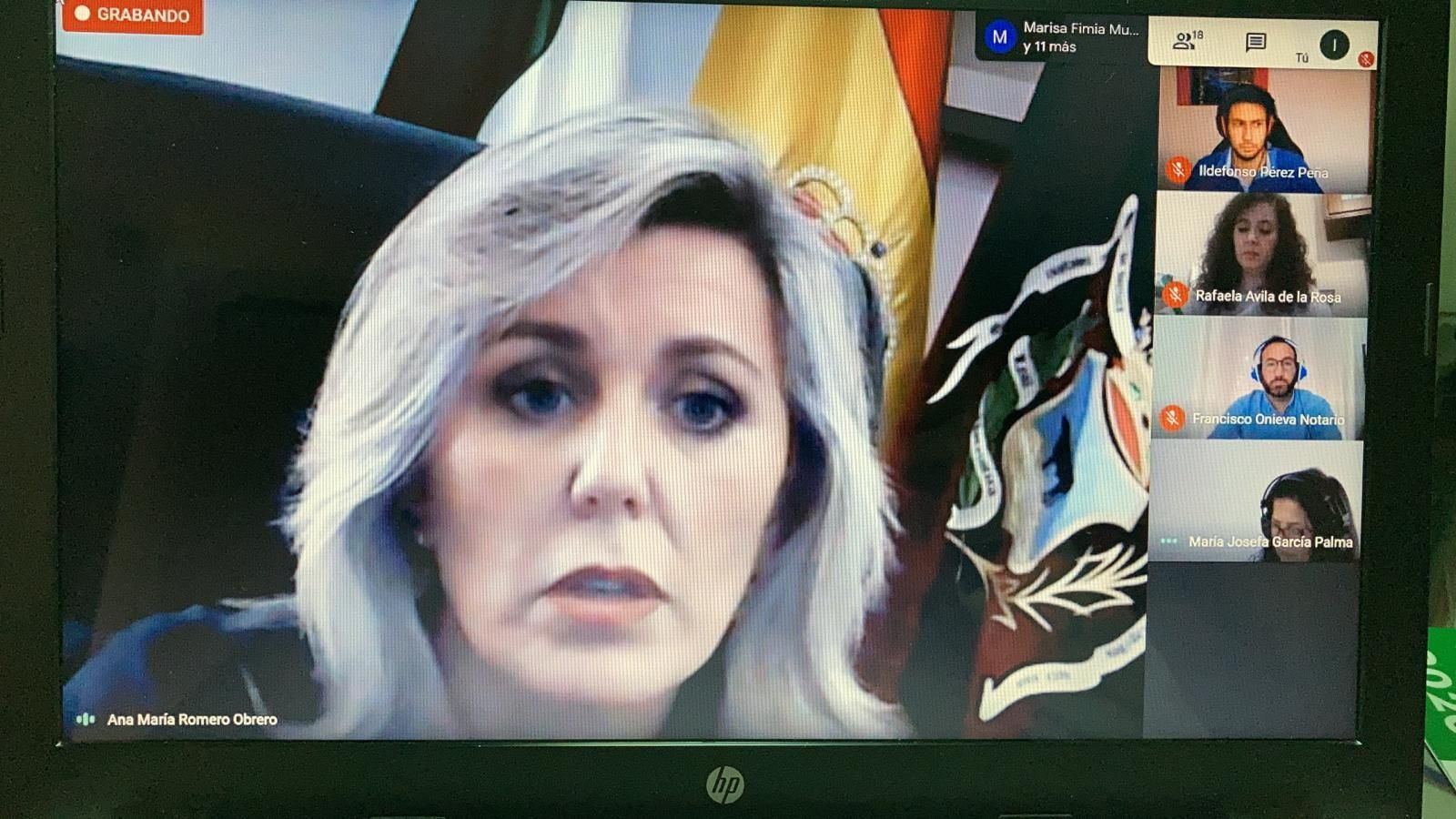 Imagen del Pleno telemático de Montoro.