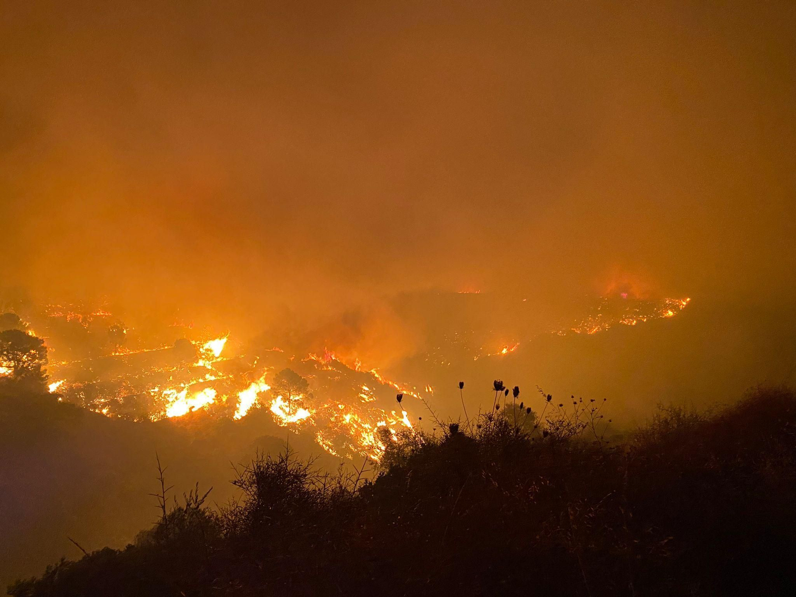 Sierra de Estepona afectada por el incendio