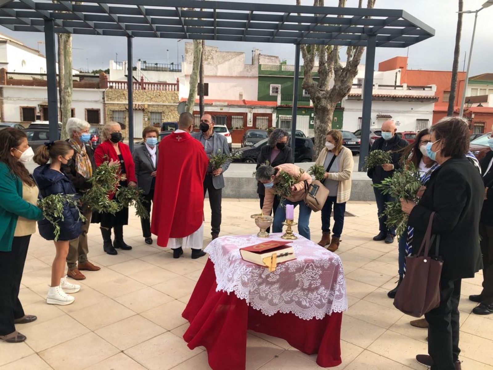 Las fotos del domingo de palmas y olivos en San Roque