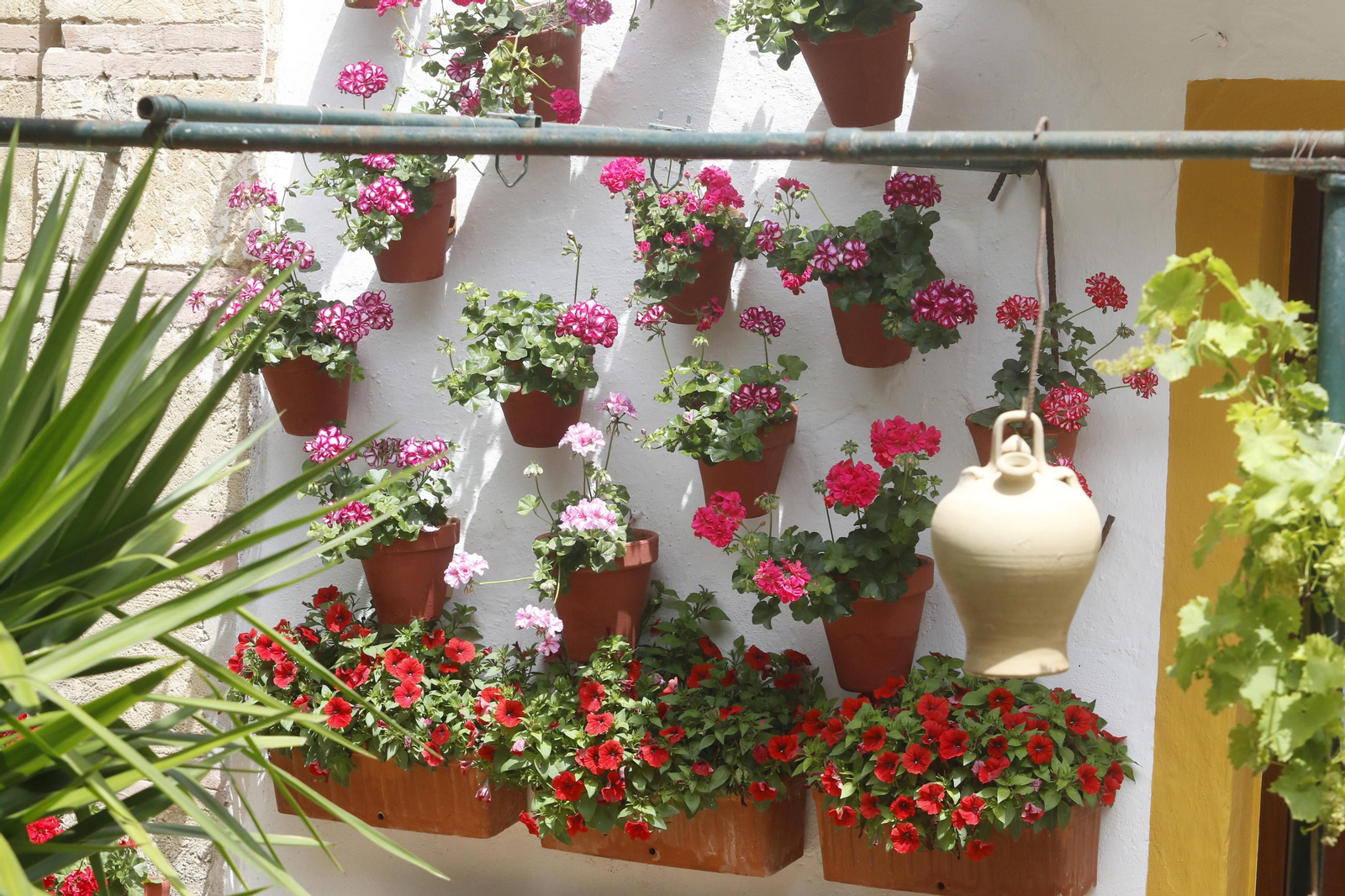 Ruta Regina - Realejo de los Patios de Córdoba, en imágenes