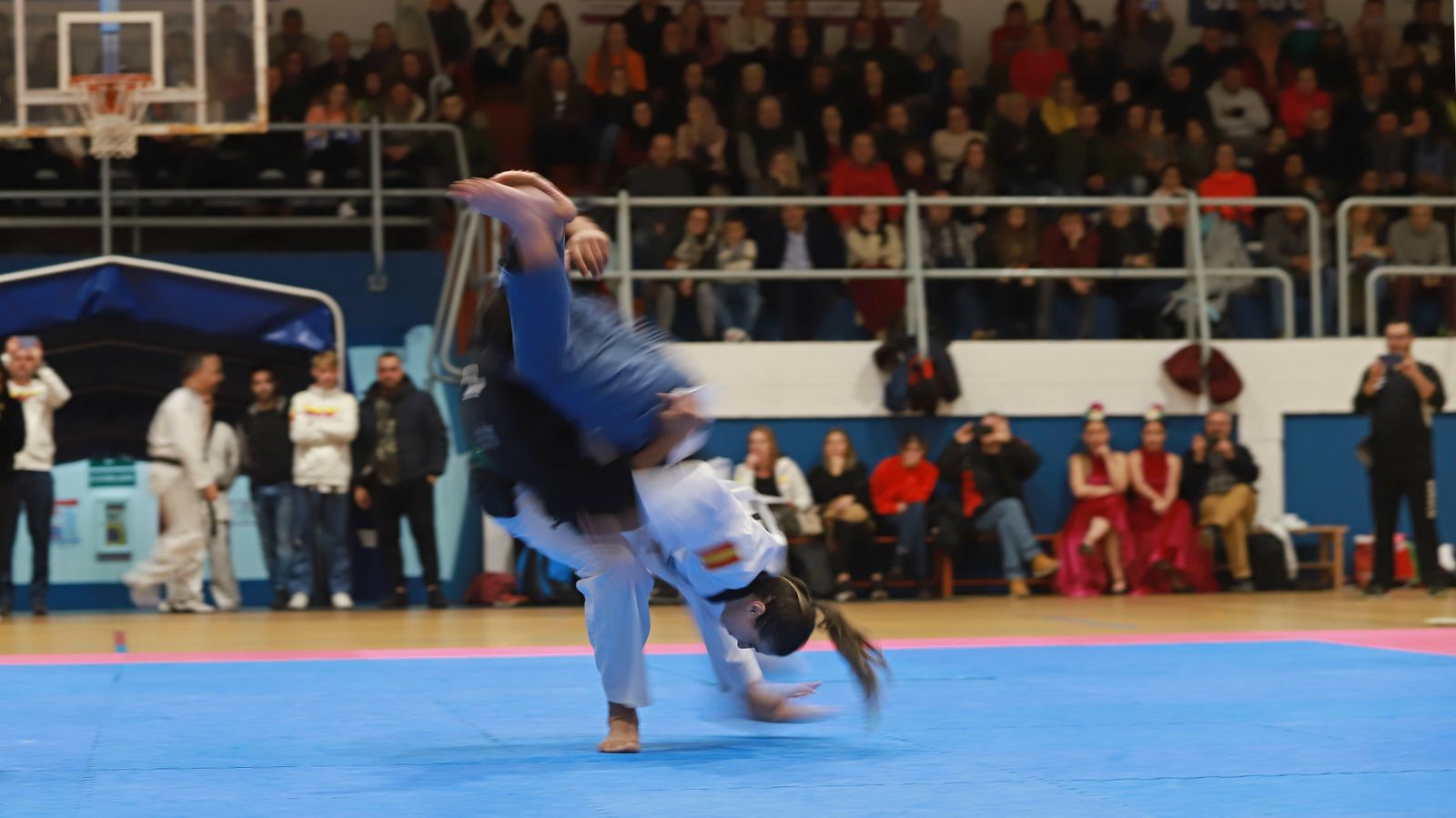 Las mejores fotos de la exhibición de Seul Gym en La Línea