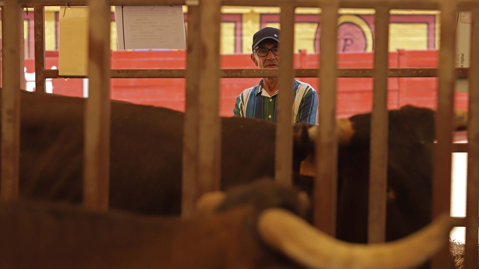 Fotos de la inauguración de la 171 Feria del Ganado de Algeciras